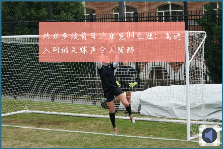 纳尔多谈昔日沙尔克04生涯：高速入网的足球声令人陶醉