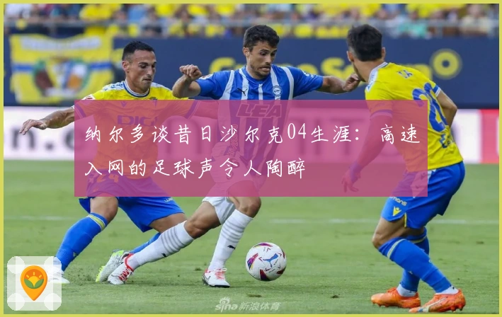 纳尔多谈昔日沙尔克04生涯：高速入网的足球声令人陶醉